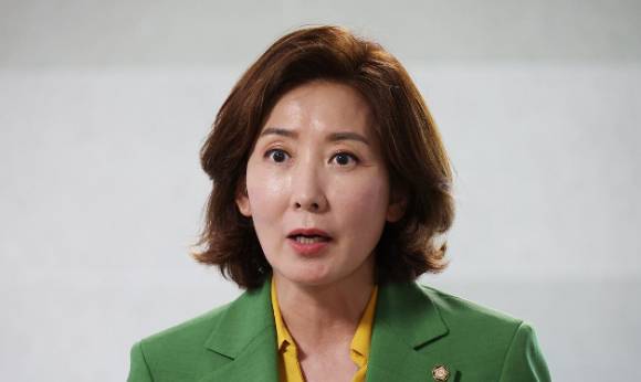 사진은 나경원 국민의힘 의원. [사진=연합뉴스]