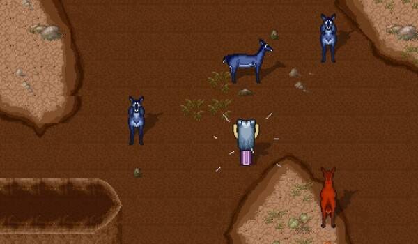 - 때아닌 호황을 맞이한 사슴굴