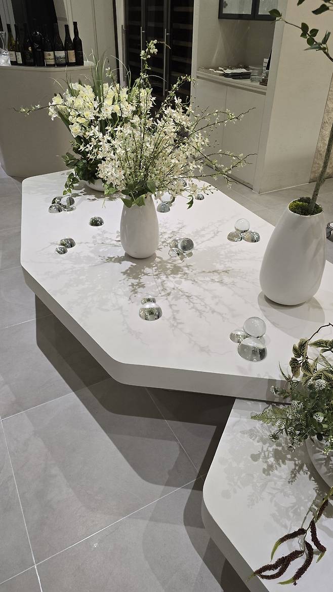 20240802_210550.jpeg 인당 28만 드레스덴 그린 후기