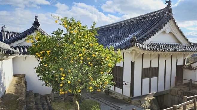 7fed8272b48069f351ee85e741837773bec2b1234c0f8588280e7f5217a4999d