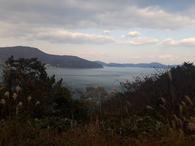 20241221_155039.jpg (음+여)거제도에서도 마이너한 막걸리 사러 양조장 가던길 중..