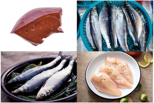 코엔자임Q10이 많은 식품. (윗줄 왼쪽부터 시계방향으로) 소고기 내장 부위(간), 정어리, 닭고기, 청어. 이미지투데이