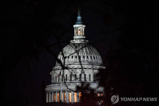 20일(현지시간) 미국 워싱턴DC 의회 [AFP 연합뉴스]