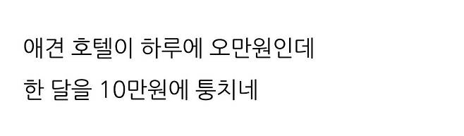 37fdc022392444205d1cc34e1ea0ebcb1ca4d554.jpg 강아지 한 달 맡아주는 당근마켓 알바구함 ㄷㄷ