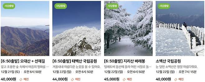 /사진=알레 캡처