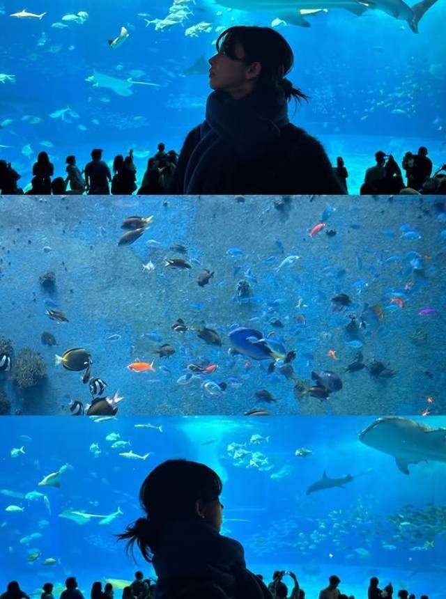 카리나 소셜 미디어