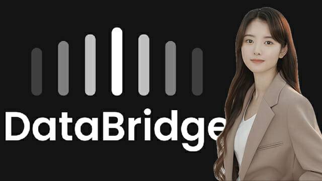 전서연 데이터브릿지 대표