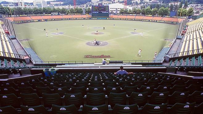 2001년까지 한밭야구장 외야 뒤에 줄 선 플라타너스. 이 구장의 명물이었다. 한화 제공