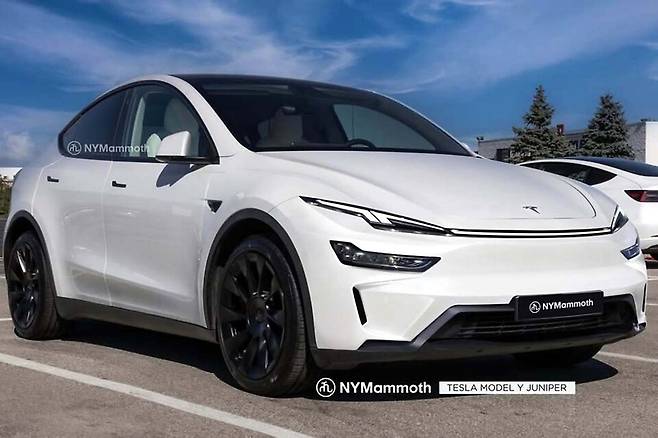 테슬라 '모델 Y 페이스리프트' 예상도 (출처 : 뉴욕맘모스)