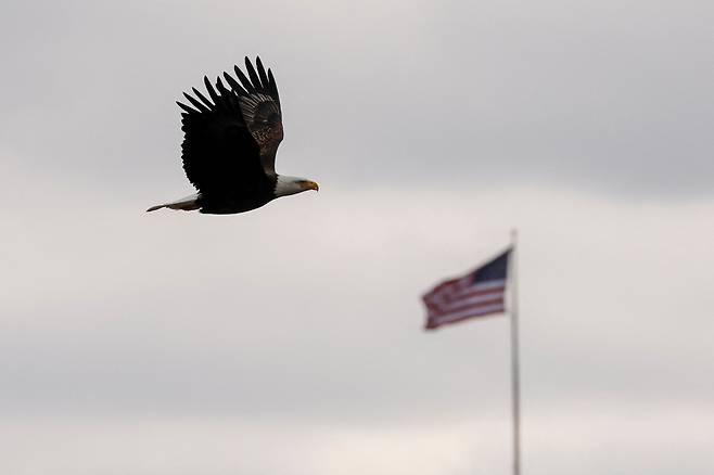 미 백악관은 25일(현지 시각) 조 바이든 대통령이 흰머리수리를 미국 공식 국조로 채택하는 법안에 서명했다고 밝혔다. / 로이터