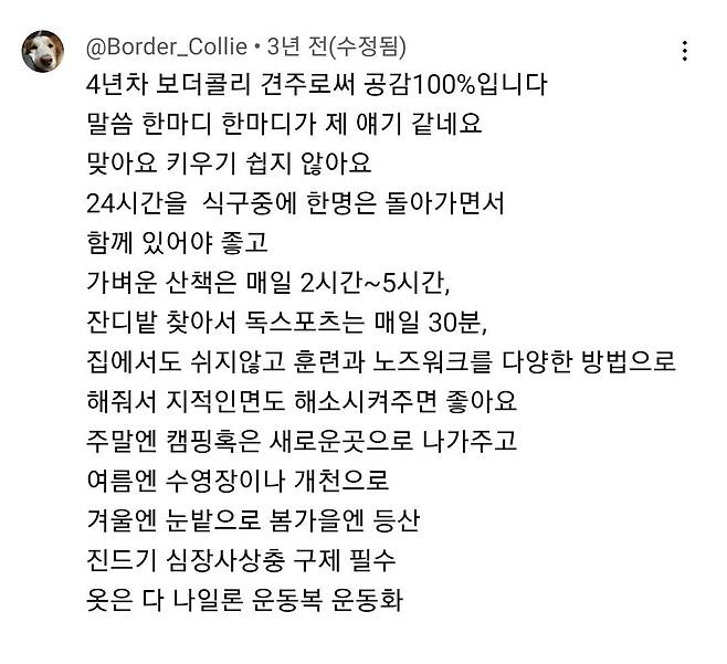 Screenshot_20241227_224057_YouTube.jpg 평화를 유지하지 못한다면 개박살낸다는 견종