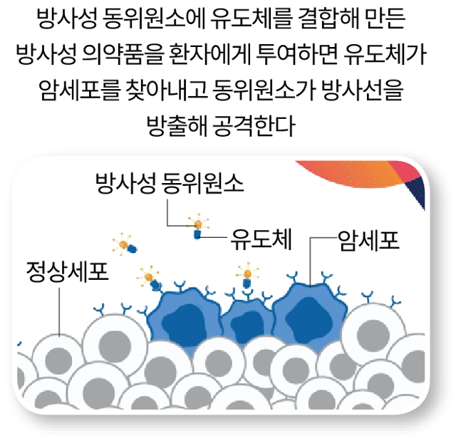 방사성 의약품의 구조와 작용 원리. 그래픽=강준구 기자