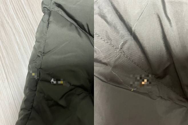 중고 거래 플랫폼에서 산 패딩에서 애벌레 여러 마리가 발견됐다는 한 소비자의 사연이 전해졌다./사진=온라인 커뮤니티 갈무리