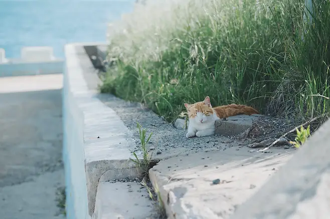 7ce4f373c6f16af123ed8fe0459c706e7bd9fb7f6680b23272f64e6a48d1fb92841ce99799717f825067e430c835f0579410e20352