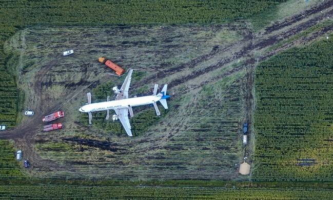 2019년 8월16일 러시아 모스크바 남동쪽 외곽 주코프스키 국제공항 근처 옥수수밭에 있는 우랄 항공의 에어버스 A321 항공기. 전날 엔진 화재로 비상 동체 착륙을 했다. 주코프스키/타스 연합뉴스