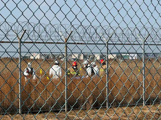 29일 전남 무안국제공항에서 추락한 제주항공 7C2216편은 당초 제주로 올 예정이었던 것으로 확인됐다. 사진은 29일 오전 전남 무안국제공항 활주로에 여객기가 추락해 사고 수습이 이뤄지고 있는 모습. /사진=뉴스1