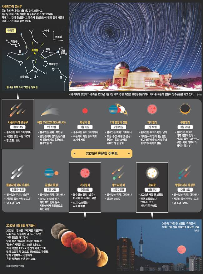 그래픽=하안송 기자