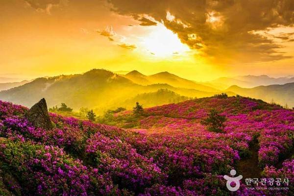 이미지 출처: 한국관광공사