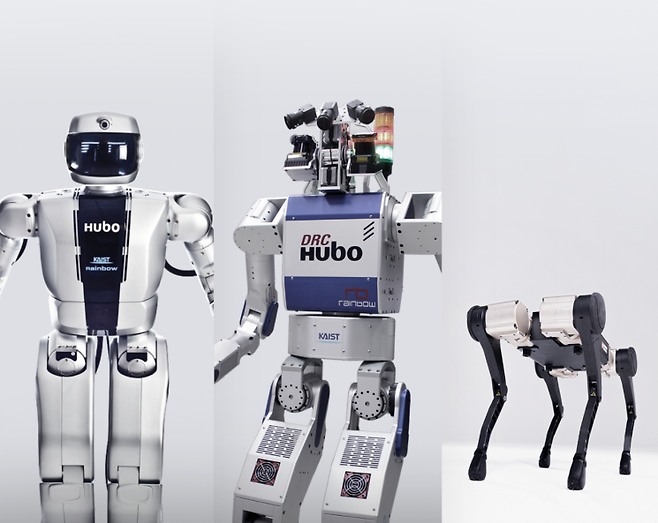 레인보우로보틱스가 개발한 이족보행 로봇과 사족보행 로봇(맨오른쪽). 레인보우로보틱스 제공