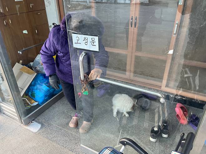 31일 오후 전남 영광군 군남면의 한 마을에서 강아지 '푸딩이'가 돌아오지 않는 노부부와 손녀를 기다리며 마을회관을 기웃거리고 있다. /고유찬 기자