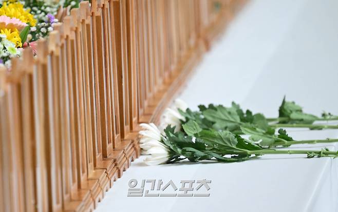 <yonhap photo-2492=""> 제주항공 여객기 사고 희생자 합동 분향소에 놓인 국화 (무안=연합뉴스) 홍기원 기자 = 30일 전남 무안군 무안종합스포츠파크에 마련된 제주항공 여객기 사고 희생자 합동 분향소에 조화가 놓여 있다. 2024.12.30 [공동취재] xanadu@yna.co.kr/2024-12-30 11:53:44/ <저작권자 ⓒ 1980-2024 ㈜연합뉴스. 무단 전재 재배포 금지, AI 학습 및 활용 금지></yonhap>