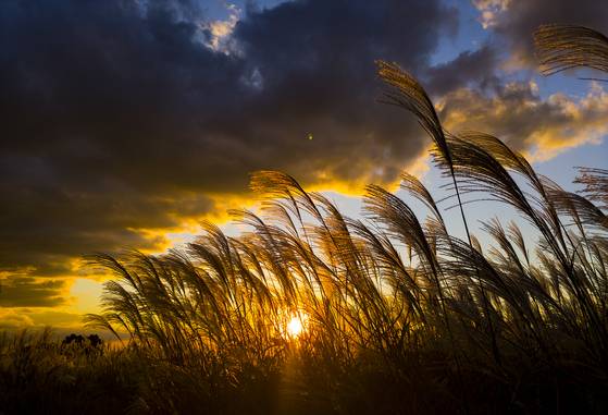 Sunrise at Haneul Park in Mapo District, western Seoul, on Oct. 18, 2018 [JOONGANG ILBO]