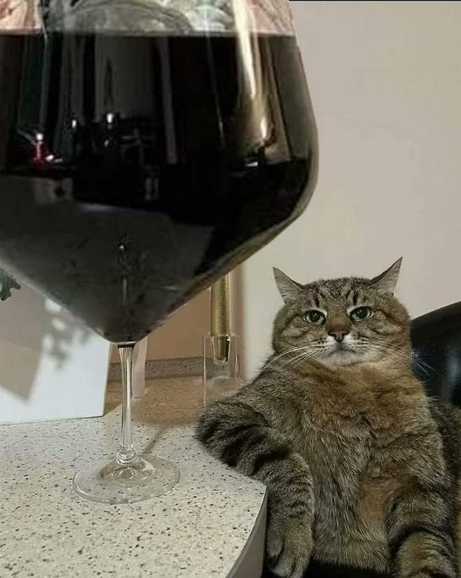 "펨붕아, 이리와서 좀 앉아봐라"