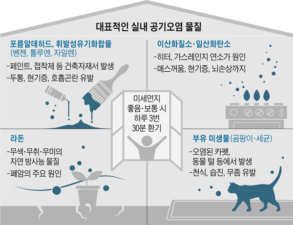 조선일보 DB