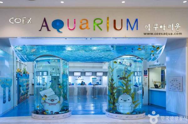 코엑스 아쿠아리움 ⓒ한국관광공사 포토코리아-IR 스튜디오