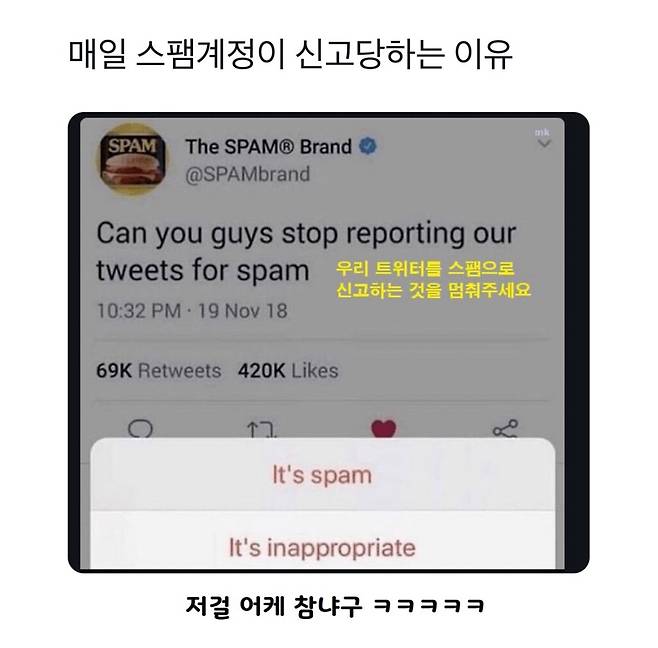 매일 스팸계정이 신고 당하는 이유
