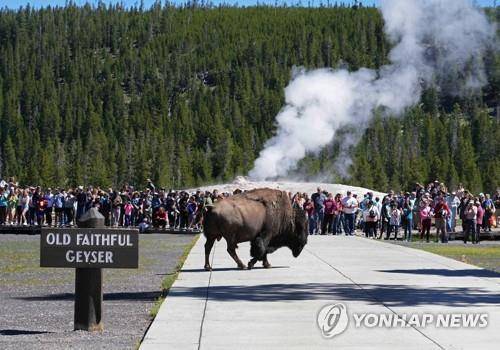 미국 옐로스톤 국립공원 '올드 페이스풀 가이저' [Getty Images/AFP. 연합뉴스 자료사진. 재판매 및 DB 금지]