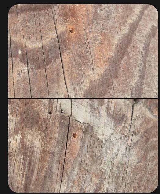 세계문화유산 병산서원 만대루 기둥에 남은 못자국 [경북 안동시 제공, 재판매 및 DB 금지]