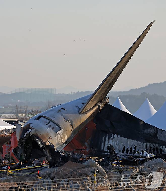 제주항공 여객기 참사 엿새째인 3일 오전 전남 무안국제공항 참사 현장 위로 철새가 날고 있다. 무안공항 주변은 88종의 조류가 출연하는 철새 도래지로, 청둥오리 등 6종 조류 충돌 위험성 분석 결과 '3단계 위험 수준'으로 꼽힌다. 2025.1.3/뉴스1 ⓒ News1 오대일 기자