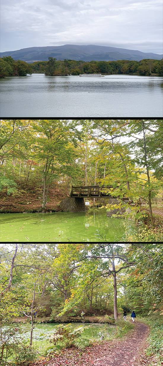 (위로부터)호수 안에 126개의 작은 섬이 흩어져 있는 오누마 호수. 섬을 연결하는 18개의 다리가 호수 곳곳에 위치해 있다. 호수 내 여러 섬을 둘러보는 산책길.