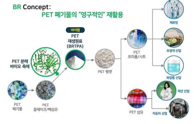 (경북대 김경진 교수 제공)