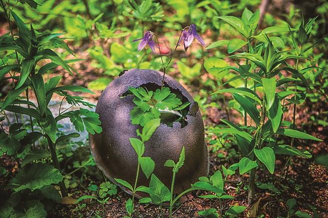 전쟁으로 서로의 생명을 노리는 건 무의미한 짓이다. [사진 | 게티이미지뱅크]
