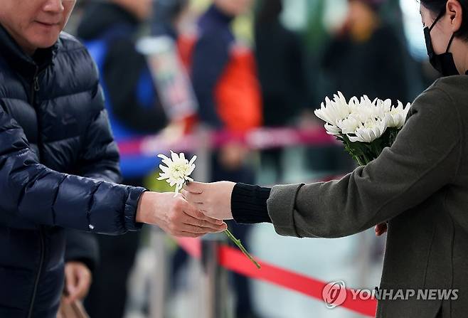 슬픔을 나누는 국화 (무안=연합뉴스) 김도훈 기자 = 2일 전남 무안군 무안국제공항에 마련된 제주항공 여객기 참사 희생자 합동분향소에서 한 자원봉사자가 조문객에게 국화를 나눠주고 있다. 2025.1.2 superdoo82@yna.co.kr