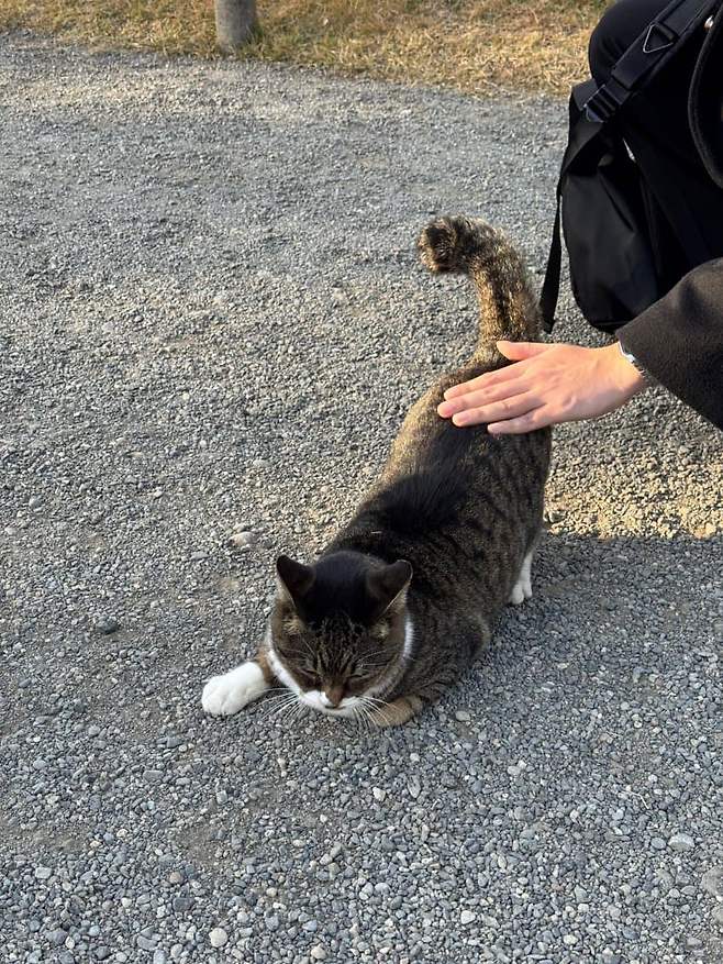 0fe48970c0f36dff239bf293479c706b89985bf9ec48c100d8946ec08e3e27a11225ca9d1d6d2b851d627dae303d39b8e4d919ebbf