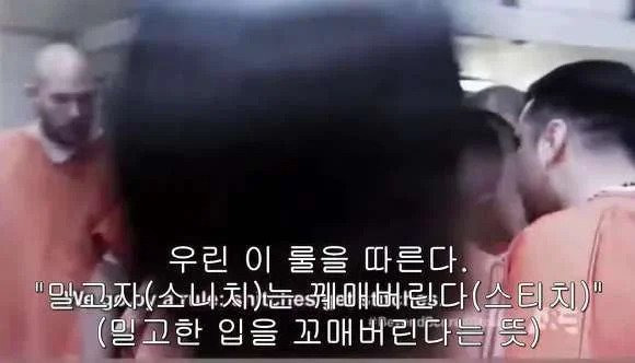 07.webp.ren.jpg 포텐 금쪽이 보니까 생각난 미국 비행청소년 교육법.JPG