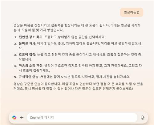 빙 코파일럿 검색 화면 [홈페이지 캡처. 재판매 및 DB 금지]