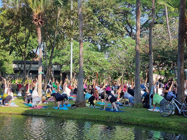 공원에서 요가를 하는 사람들. 힘들수록 몸을 움직여야 한다. /손관승 제공
