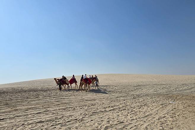 image.png 남아프리카 공화국 여행기!