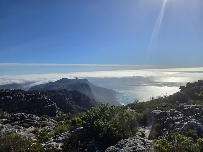 image.png 남아프리카 공화국 여행기!