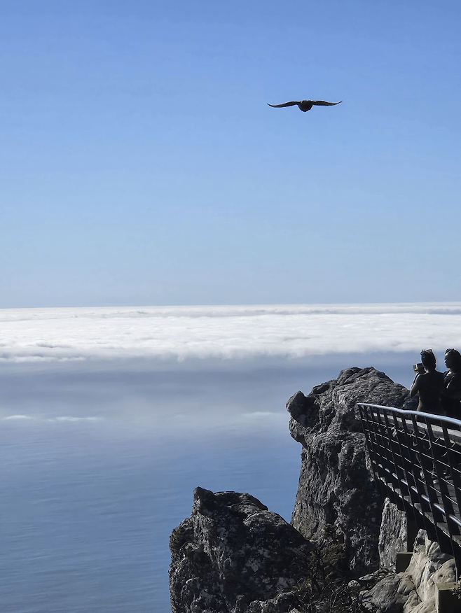 image.png 남아프리카 공화국 여행기!