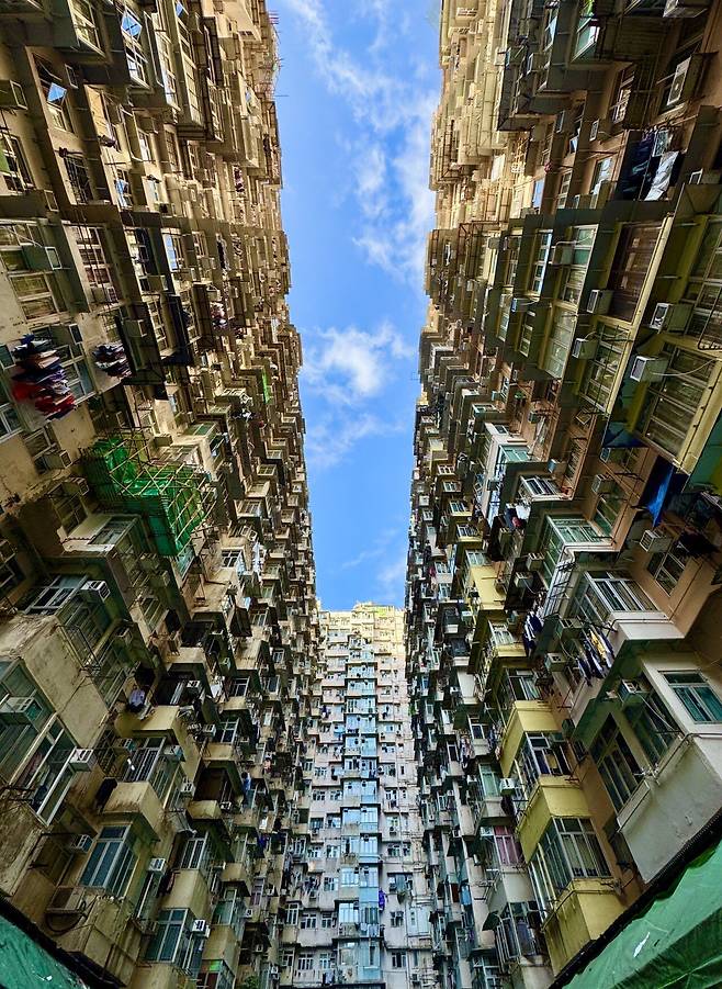 4박 5일 홍콩여행 다녀왔어요 (마카오 당일)