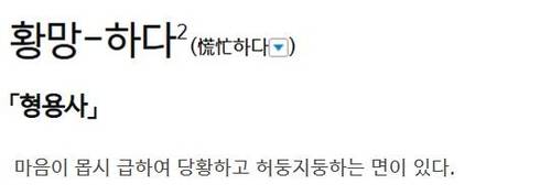 "'황망한 죽음'은 어색해요" [표준국어대사전 캡처. DB 및 재판매 금지]