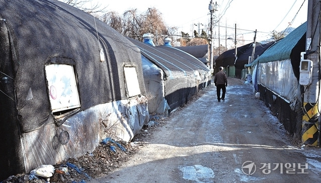 지난 2020년 한파로 이주노동자가 사망한 지 4년이 지난 가운데 여전히 경기도내 주거용 비닐하우스 2천700여동에 5천500여명이 거주하고 있는 것으로 추정된다. 사진은 7일 과천시 한 주거용 비닐하우스 밀집 지역. 김시범기자