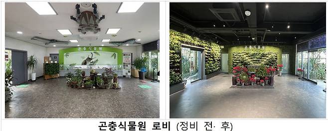 [서울=뉴시스] 서울숲 곤충식물원 로비. 2025.01.08. (사진=서울시 동부공원여가센터 제공) *재판매 및 DB 금지