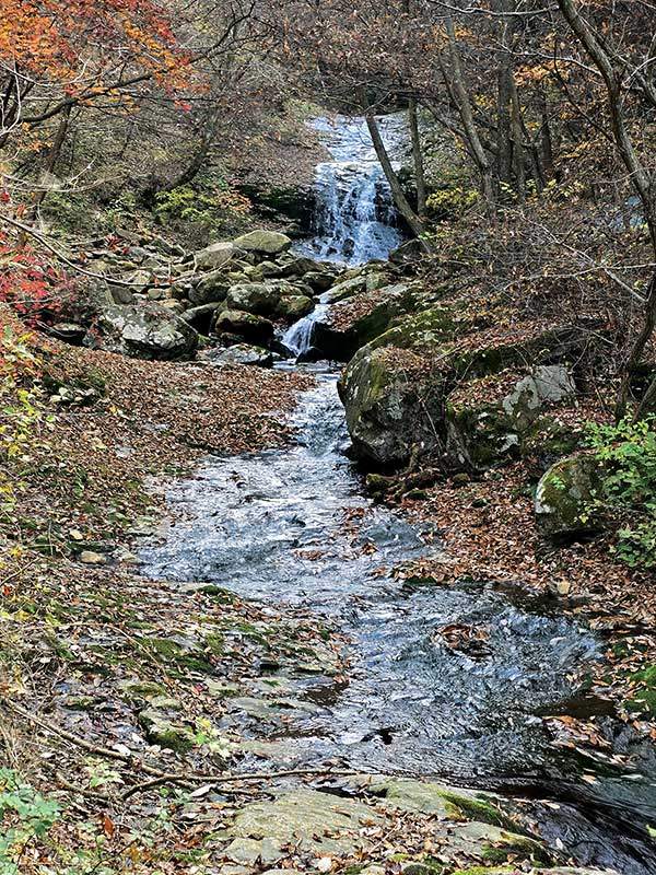 남산계곡.