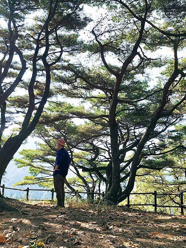 밤티재에서 0.8km 진행해서 만나는 조망터.